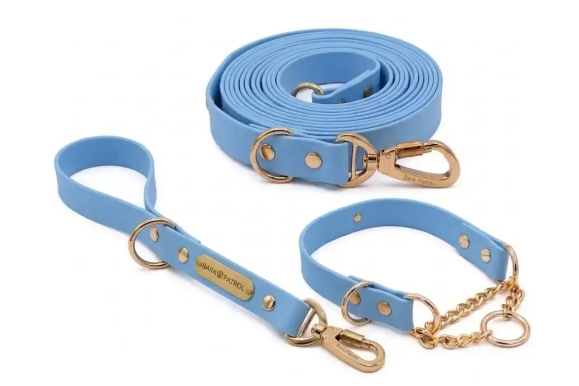 Blue Biothane dog training set with long leash, martingale collar and training handle