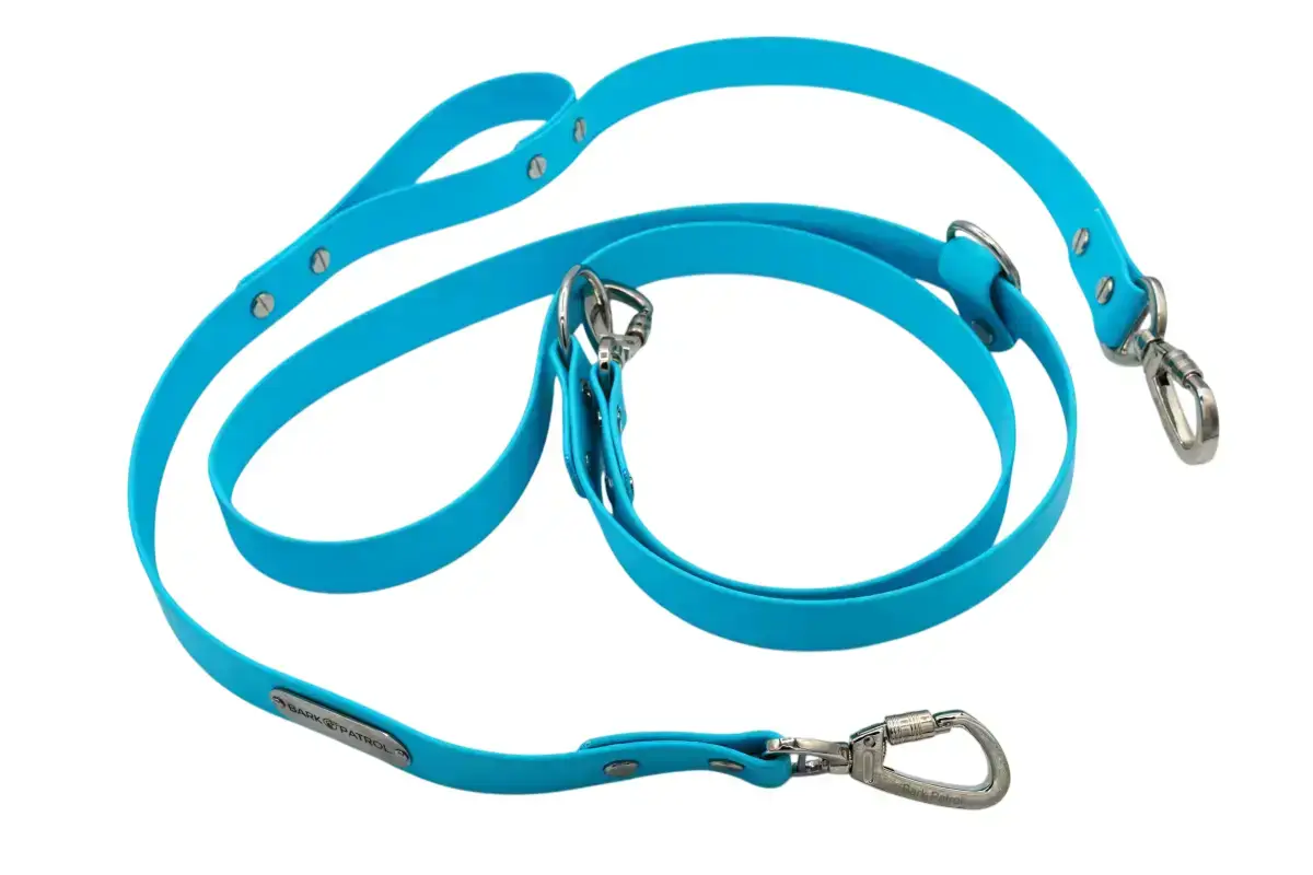 Blue Hands-Free Adventure StayClose Biothane dog leash with silver hardware