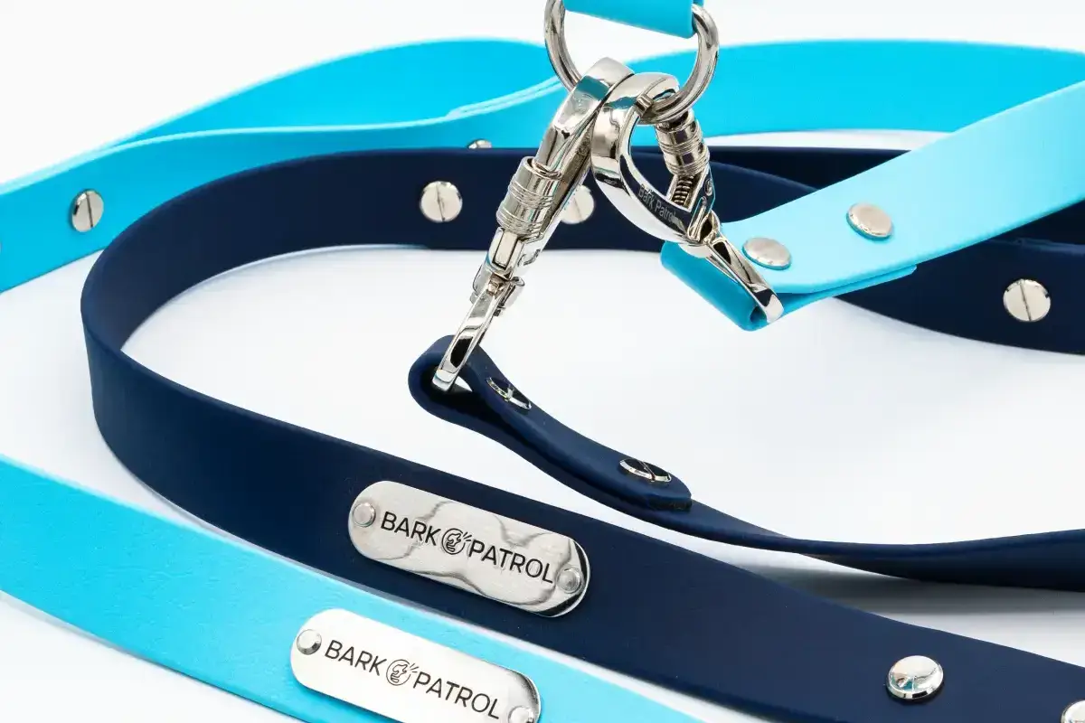 Close-up of silver locking clasps on blue and navy StayClose dual dog leash straps