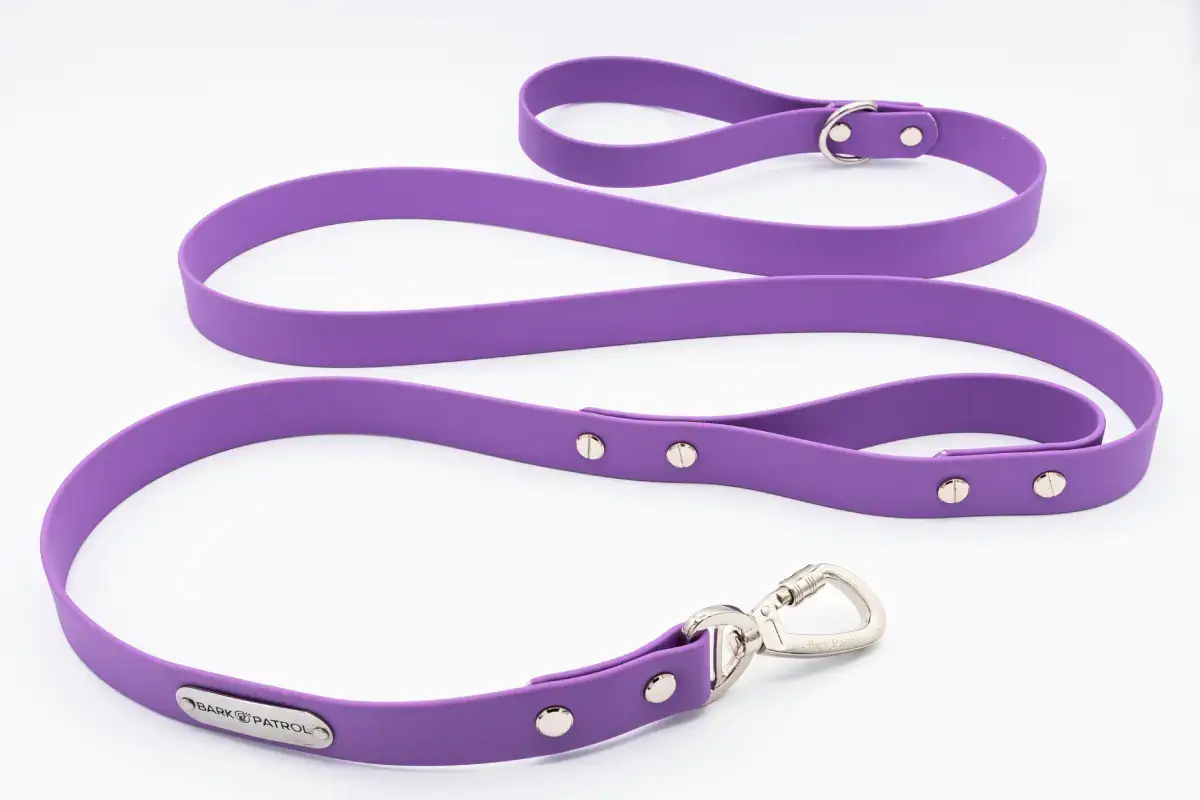 Purple StayClose Biothane dog leash with traffic handle and silver locking clasp