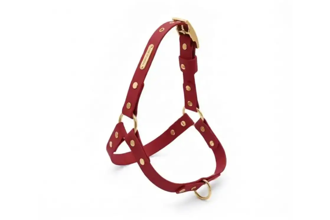 Red All-Terrain Adventure Biothane dog harness with gold hardware
